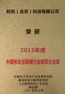 2015中國互聯(lián)網(wǎng)行業(yè)領(lǐng)軍企業(yè)